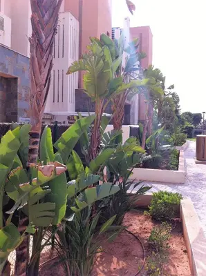 Jardín al aire libre en oasis del toyo golf&beach private garden wifi