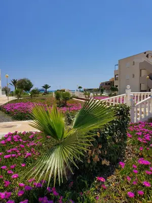 Jardín al aire libre en APARTAMENTO NATURISTA en PRIMERA LÍNEA DE VERA PLAYA!!!