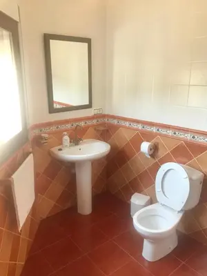 Un baño de Alojamiento Rural '' Los Ciruelillos''