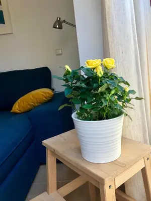 Zona de estar de Apartamentos Vida Almería