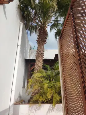 Plano de Casita del Molino
