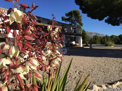 Jardín al aire libre en B&B Cortijo El Ciruelo