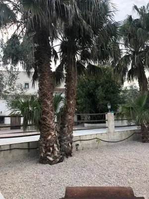 Jardín al aire libre en Cortijo Álamo 2