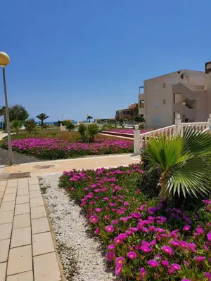 Jardín al aire libre en Apartamento Naturista en primera línea en Natura World!