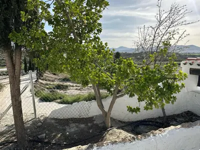 Paisaje cerca de este apartamento