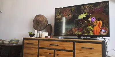 Una televisión o centro de entretenimiento en ¡ VAMOS A LA PLAYA !