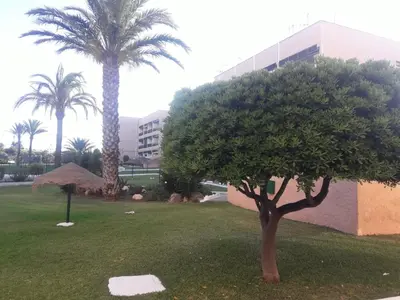 Jardín al aire libre en La Burbuja