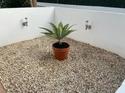 Plano de Casa Bello
