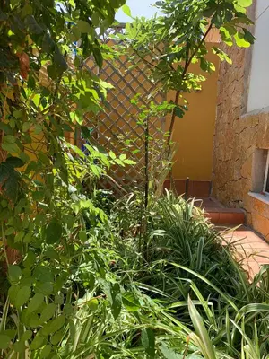 Jardín al aire libre en Oktheway Vivas Aguadulce