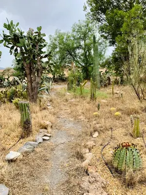 Jardín al aire libre en Casa SolyVida Tabernas