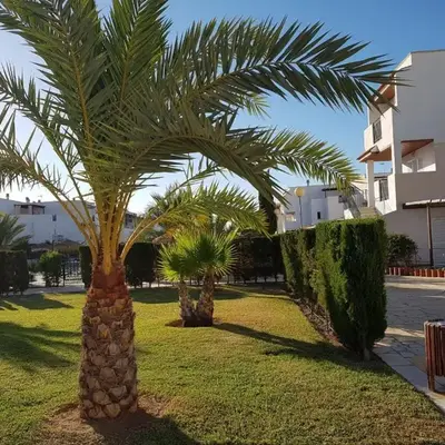 Duplex extraordinario naturista en Vera Playa!
