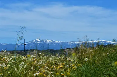 Paisaje cerca de este apartamento