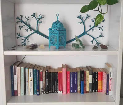 Biblioteca en el apartamento