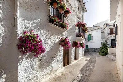 Edificio en el que se encuentra la casa o chalet