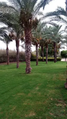 Jardín al aire libre en Vera playa apartamento 1dormitorio