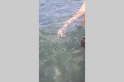 Clientes alojados en Apartamento Costa de Almería Capri a 1 min de la Playa