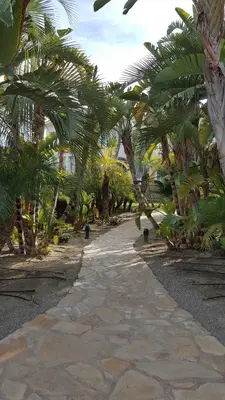 Jardín al aire libre en Homes of Spain, Precioso apartamento Pueblo Salinas K, Vera playa, 2 terrazas, WIFI