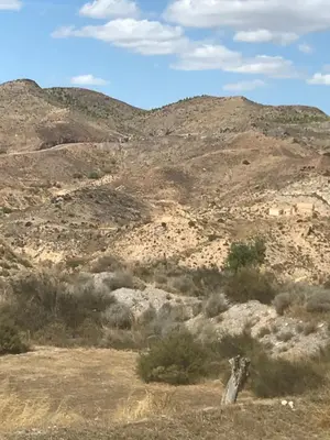 Paisaje cerca de este apartamento