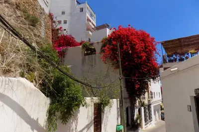 Edificio en el que se encuentra la casa o chalet