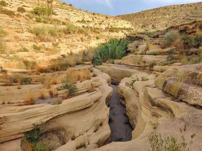 Paisaje cerca de este apartamento