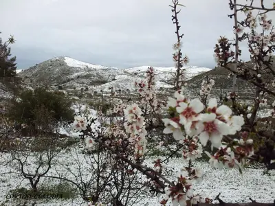 Paisaje cerca of this country house
