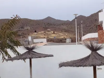 Paisaje cerca de este apartamento