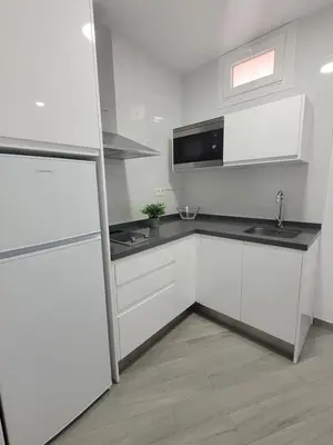 Una cocina o zona de cocina en Apartamentos “Mar de Coral” Aguadulce