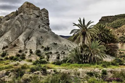Paisaje cerca of this country house