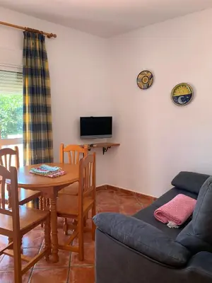 Una televisión o centro de entretenimiento en Apartamentos Carolina