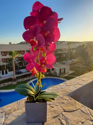 Piscina en o cerca de Ático dúplex con piscina privada y vistas al mar en Paraíso de Vera!