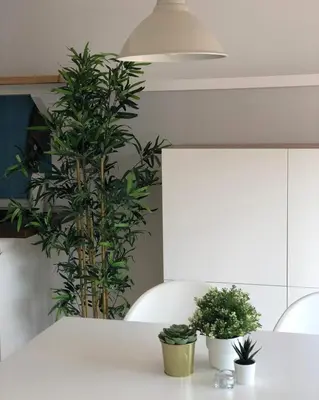 Plano de Homes of Spain, Apartamentos Paraíso Vera Playa, Ático Alborada con solárium grande privado, a pie de playa, WIFI