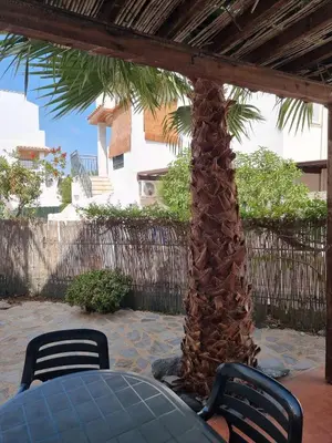 Plano de Casa Baja naturista con patio en primera linea!