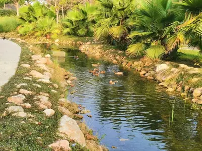Paisaje cerca de este apartamento