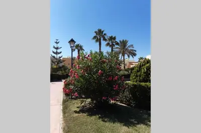 Jardín al aire libre en 