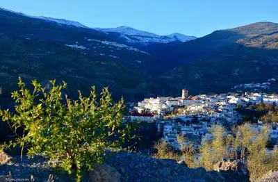 Paisaje cerca de este hostal o pensión