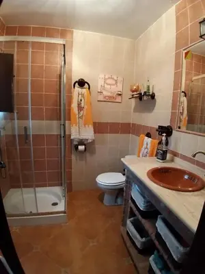 Un baño de Benavilla