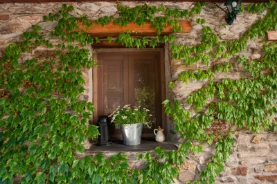 Jardín al aire libre en Casa-Huerto La Juana
