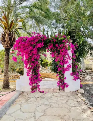 Jardín al aire libre en Mojacar farmhouse apartments with pool