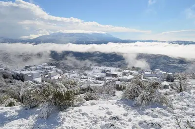 Paisaje cerca of this country house