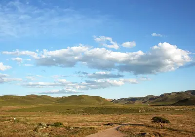 Paisaje cerca of this country house