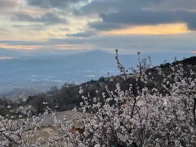 Paisaje cerca de este apartamento