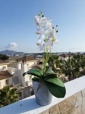 Paisaje cerca de este apartamento