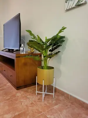 Una televisión o centro de entretenimiento en Apartamento exótico en primera línea de Vera-Playa!