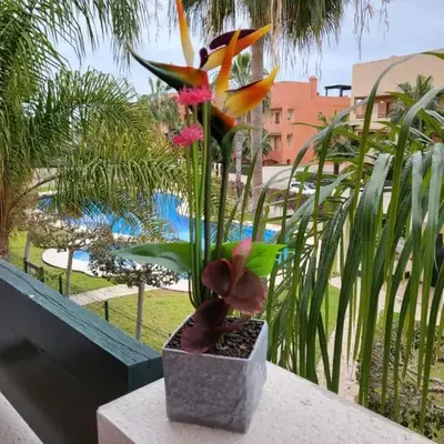 Apartamento exótico en primera línea de Vera-Playa!