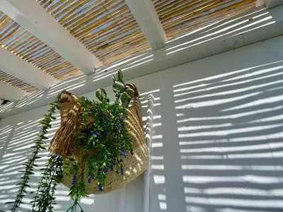 Plano de Estudio Garzolini