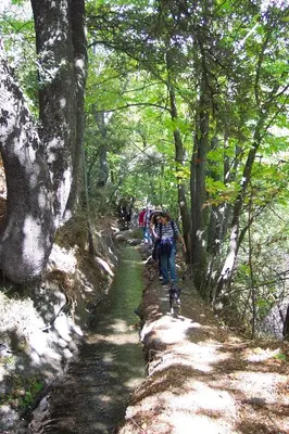 Clientes alojados en Alojamiento Rural Mirador del Avellano