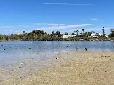 Paisaje cerca de este apartamento
