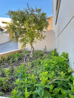 Jardín al aire libre en Casa 41