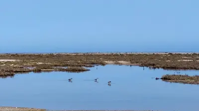 Paisaje cerca de este apartamento