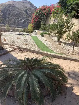 Paisaje cerca de esta habitación en casa particular